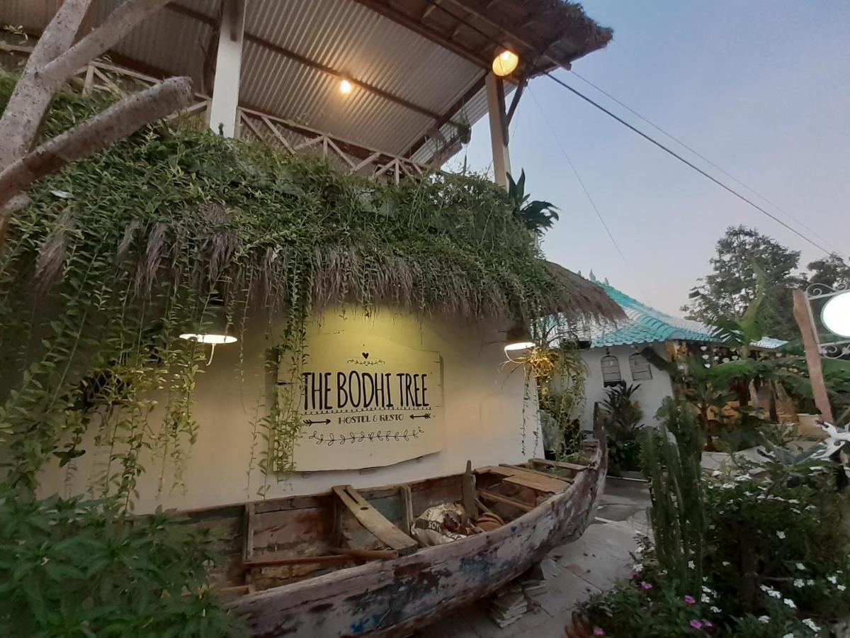 The Bodhi Tree Karimunjawa Hostel Exterior photo